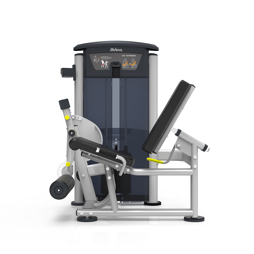 Poste Quadriceps
