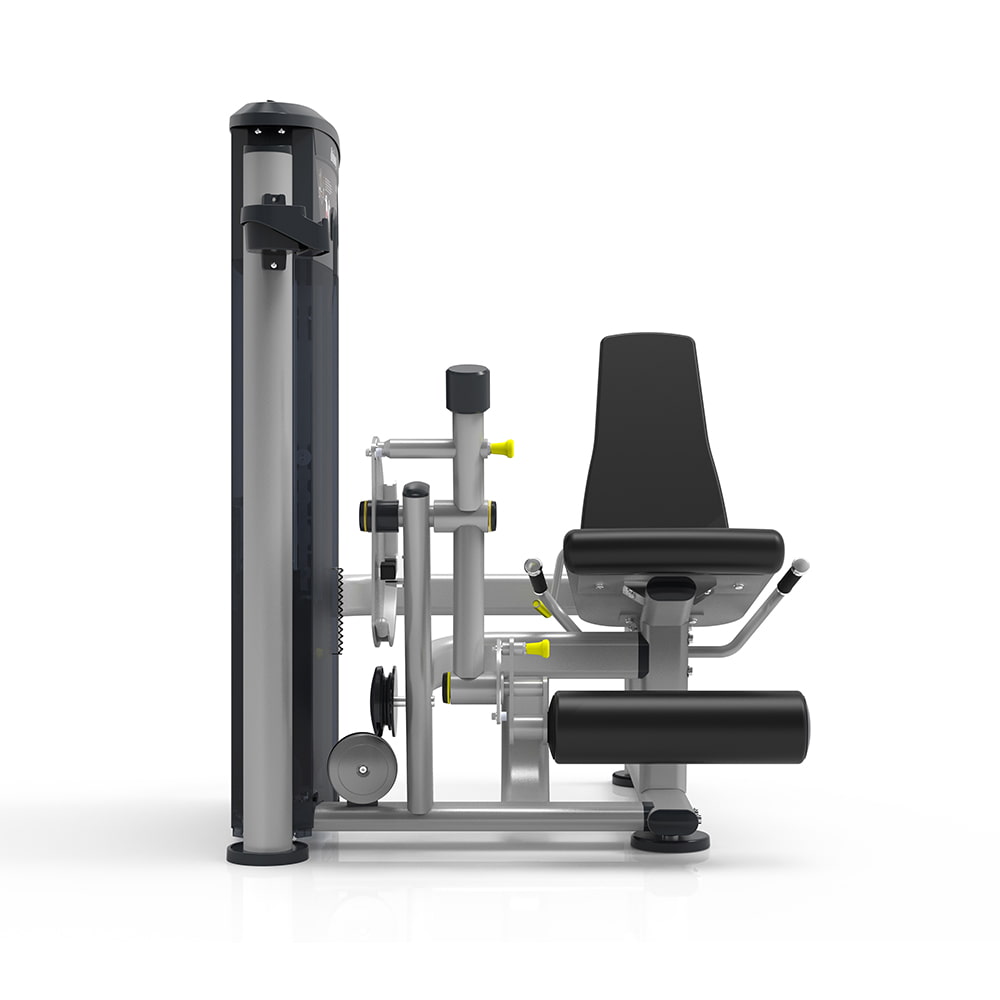 Poste Quadriceps