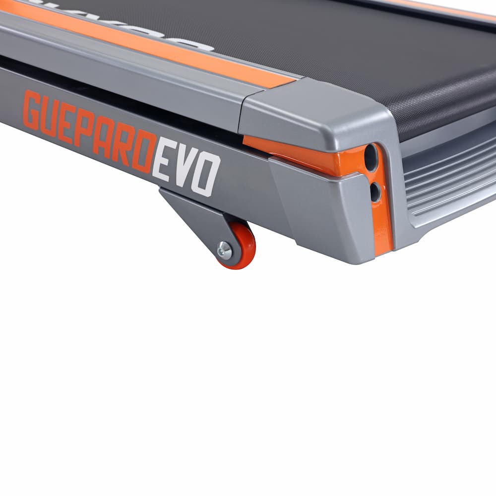 Guépard EVO